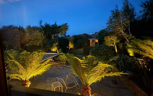 Warm garden lighting illuminating tree ferns, trees and planting beside a patio at dusk.